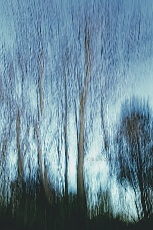 44 (Jan 6-12) Impression, Winter Trees