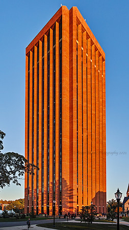 SDQ_1199