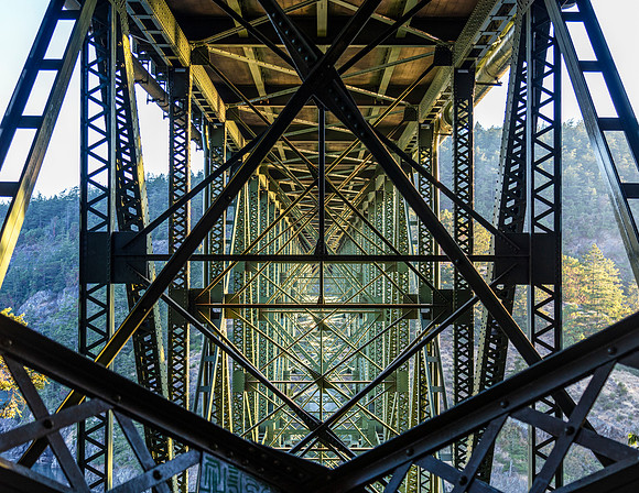 Do Engineers Dream of Diagonal Bracing -