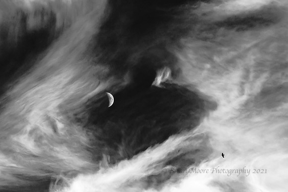 53 (Mar 10-16) Waxing Moon