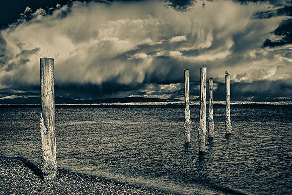 Pilings-3068