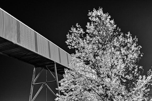 68 (June 23-29) Conveyor and Tree