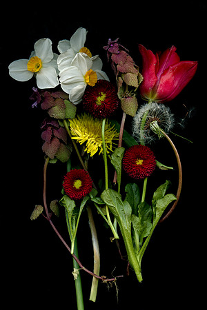 006 (April 15-21): Yesterday's Garden