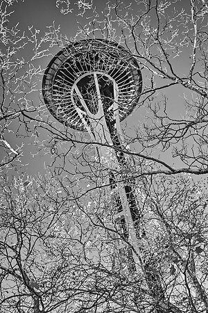 76 (Aug 18-24) The Space Needle in Winter