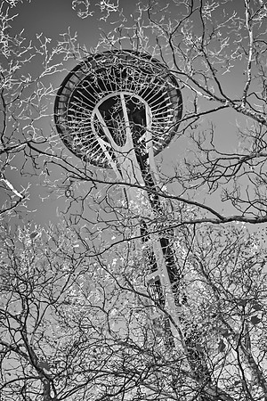 Space Needle in Winter-2311