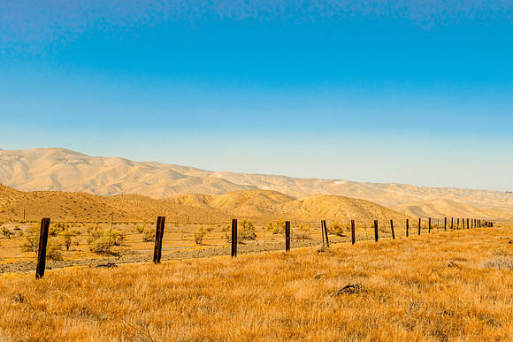 100 (Feb 2-8) Fenceline, Kern County