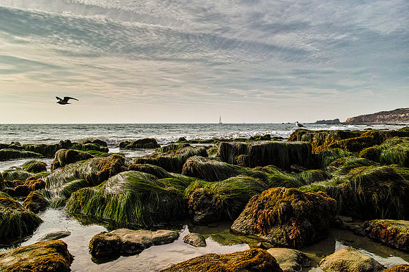 Crystal Cove