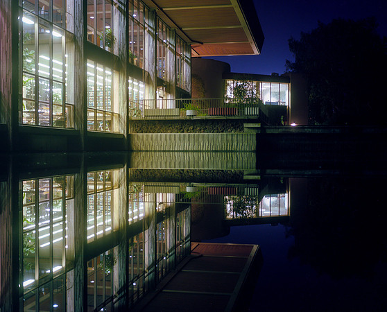 Library Reflection- 002