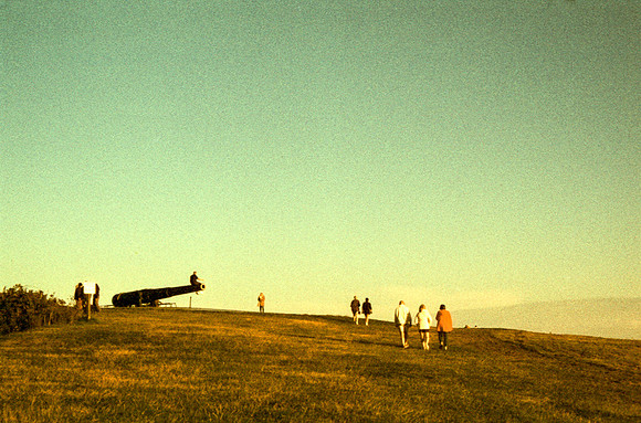 Harmon Phoenix OM2n 0013