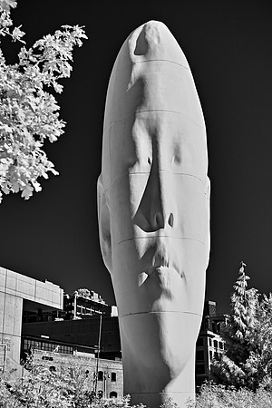 FB-1493