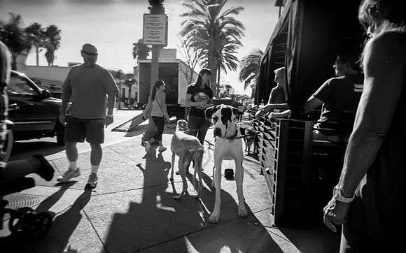 S-Headz Tri-X-016