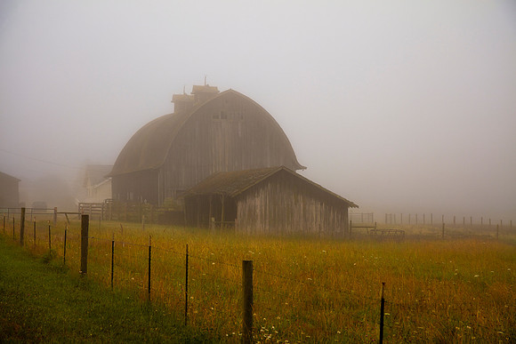 Misty Morning