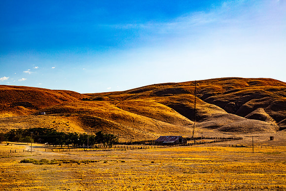 143 (Nov 29-Dec 5) Ranch On Soda Lake Road