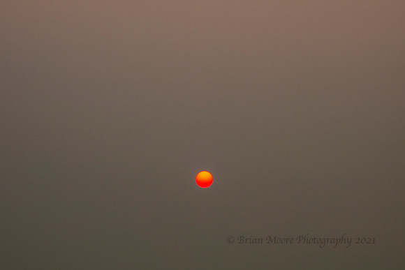 144 (Dec 5-12) Zen Sunrise